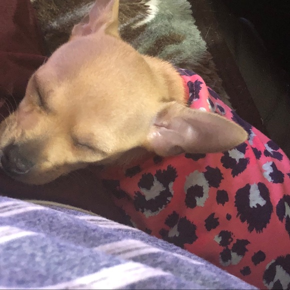 Meet your Posher, Greg - Picture 1 of 1